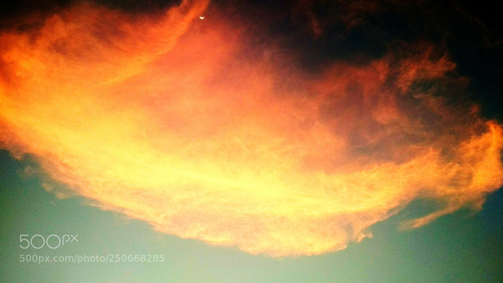 Xiaomi Redmi 4 Pro sample photo. Aurora tropicalis-2 photography