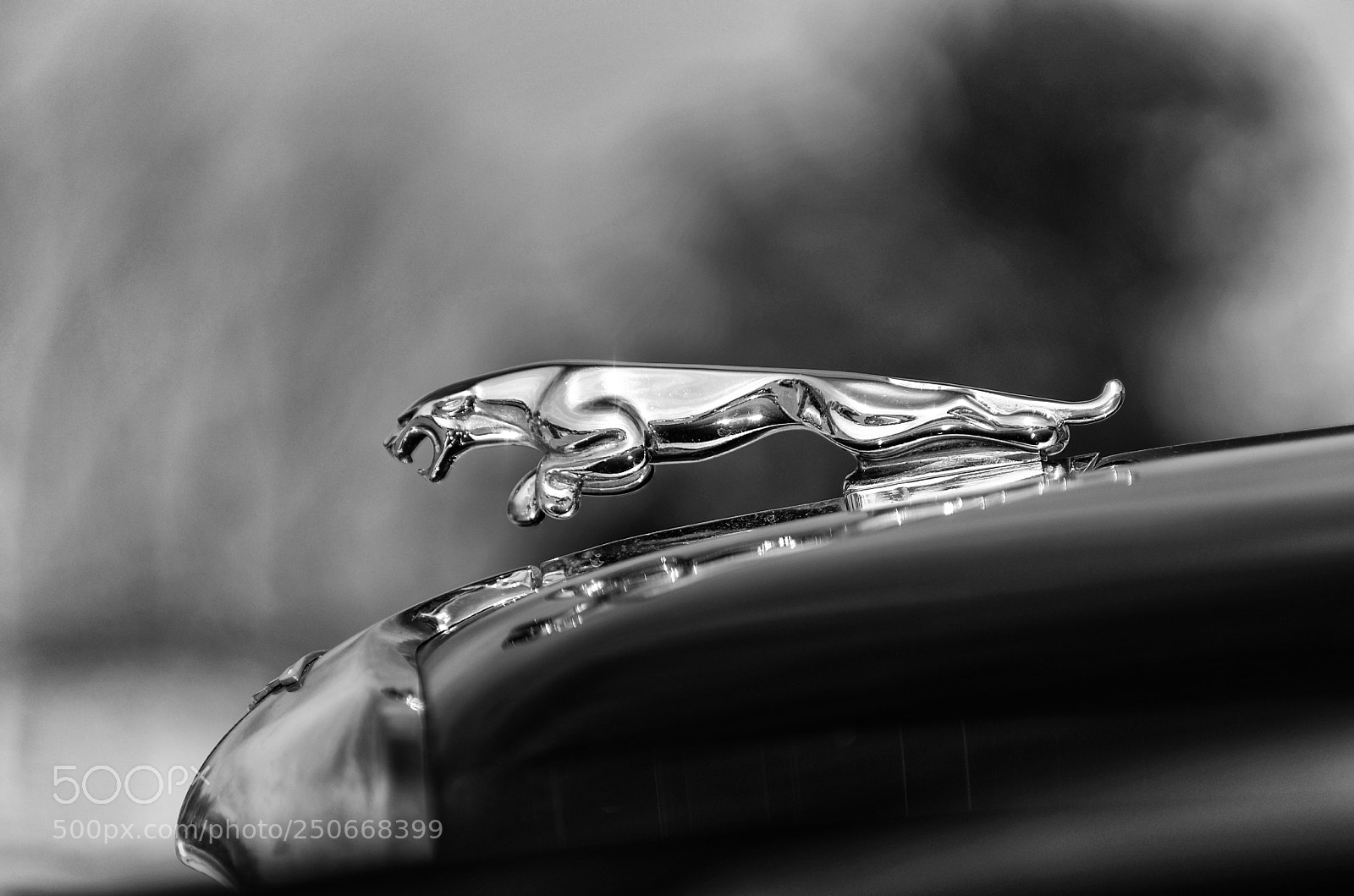 Pentax K-5 sample photo. God save the cars photography