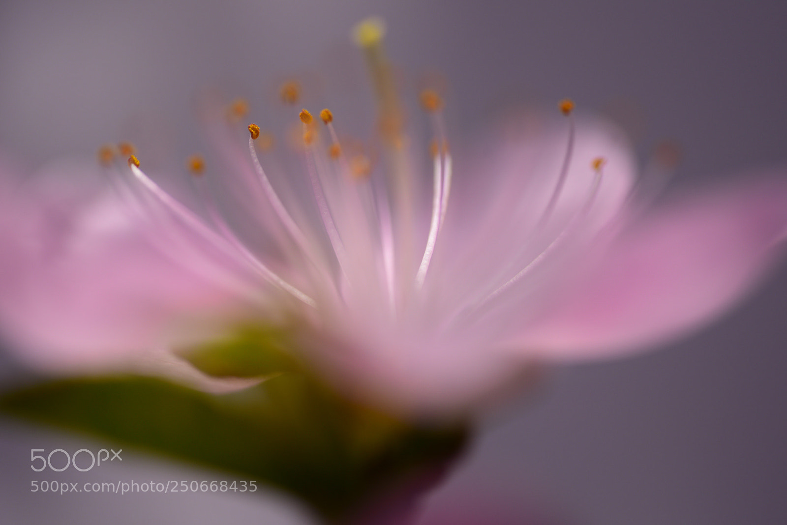 Nikon D810 sample photo. Untitled photography