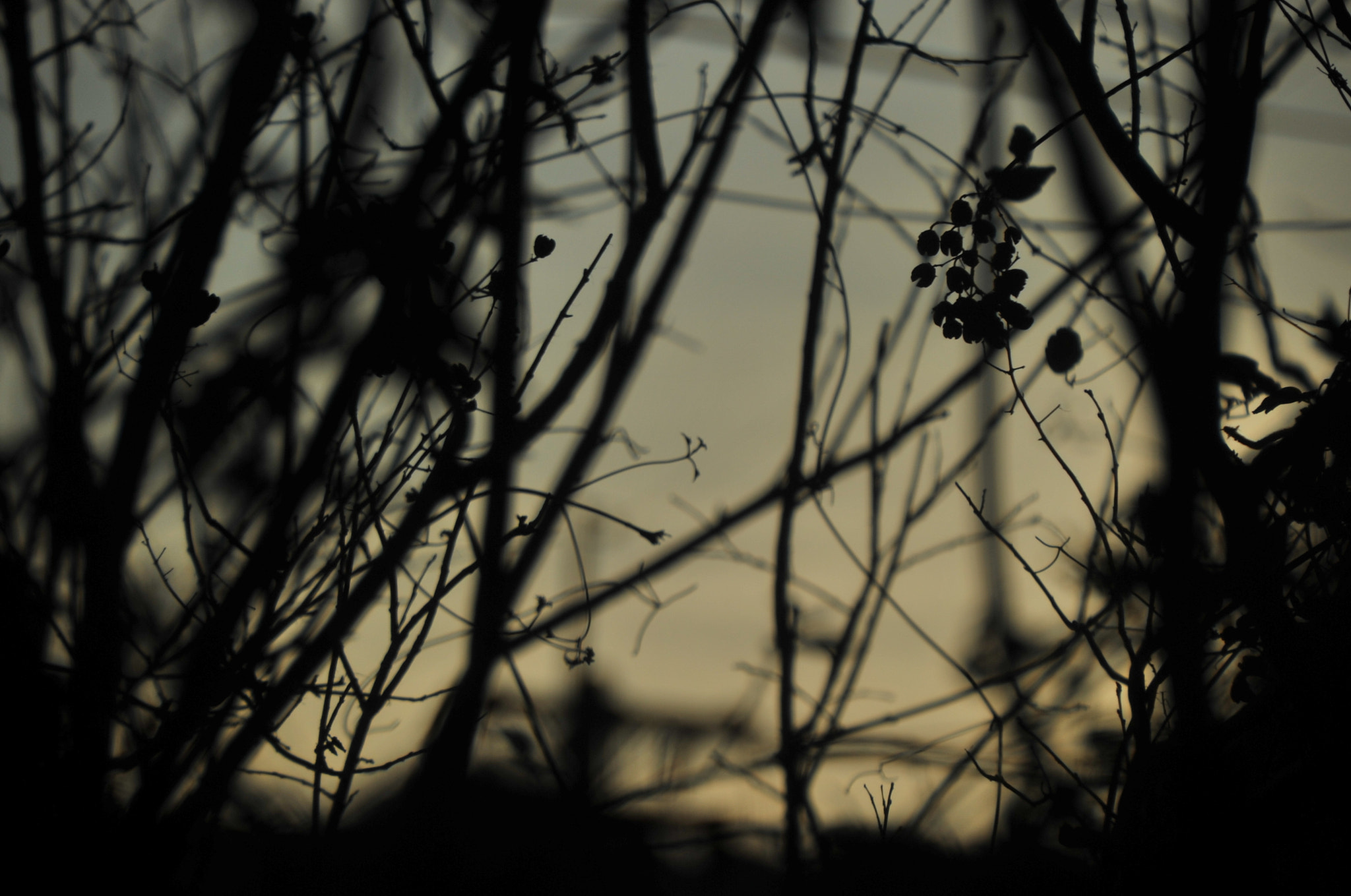 Nikon D3S sample photo. .. photography