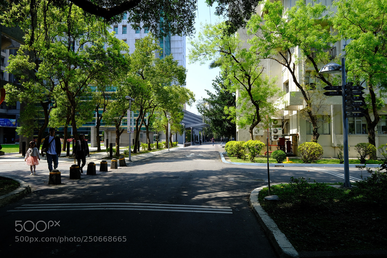 Fujifilm X-T20 sample photo. Untitled photography