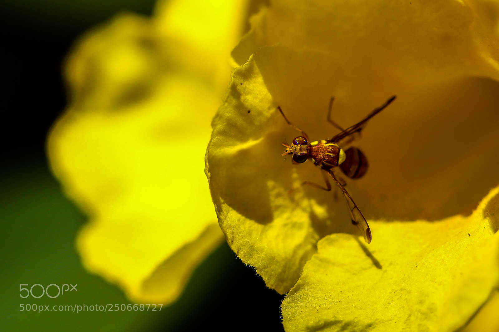 Canon EOS 6D Mark II sample photo. Untitled photography