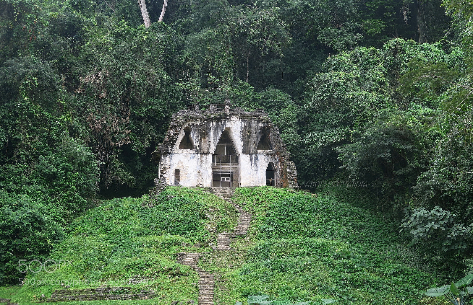 Canon PowerShot G5 X sample photo. *palenque / mexico* photography