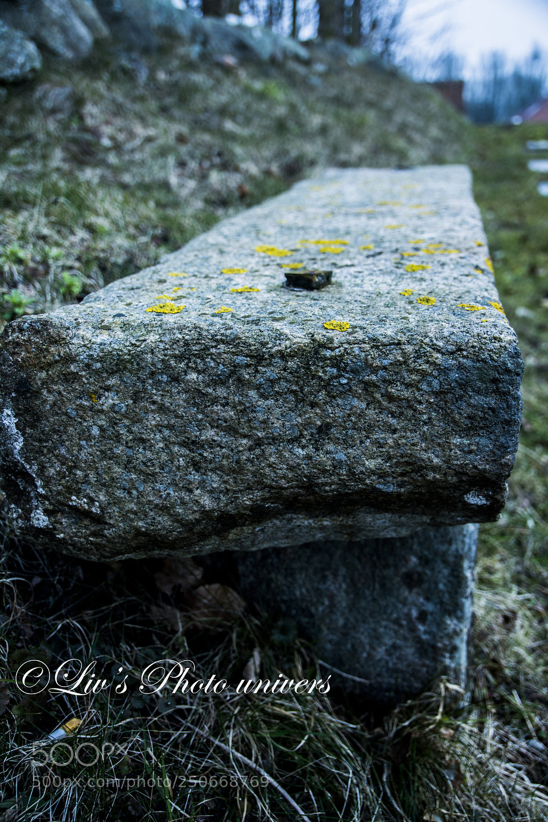 Nikon D5200 sample photo. Bænk photography