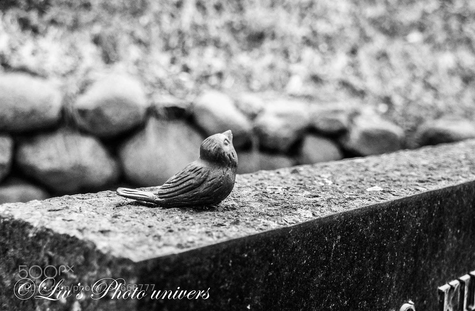 Nikon D5200 sample photo. Fugl på gravsten photography