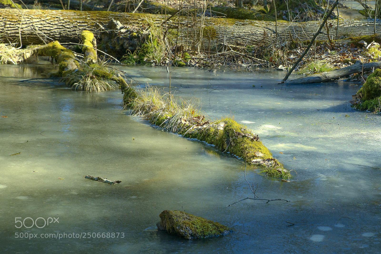 Nikon D800 sample photo. Lesna river photography