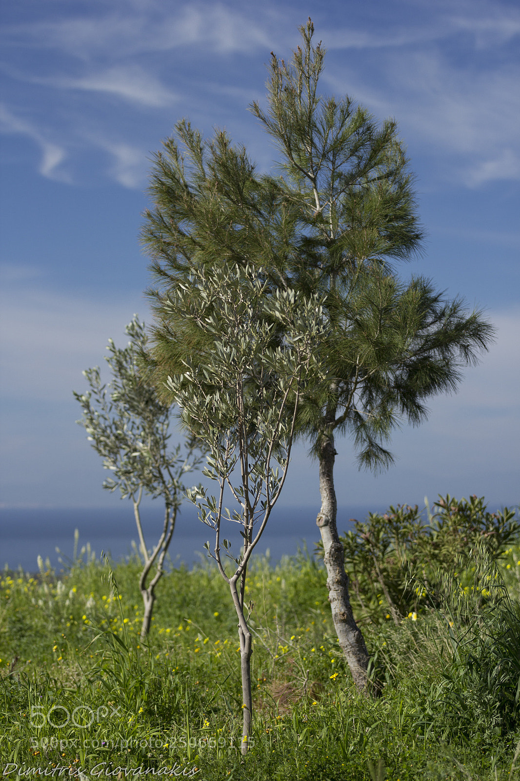 Canon EOS 60D sample photo. Spring time glyfada greece photography
