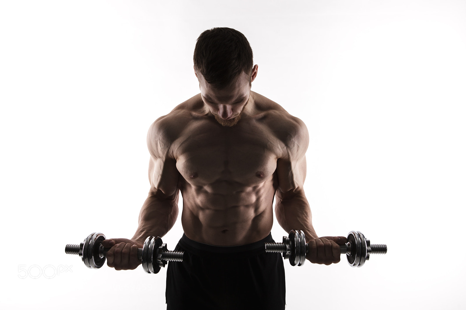 Canon EOS 5D Mark II sample photo. Silhouette of a bodybuilder photography
