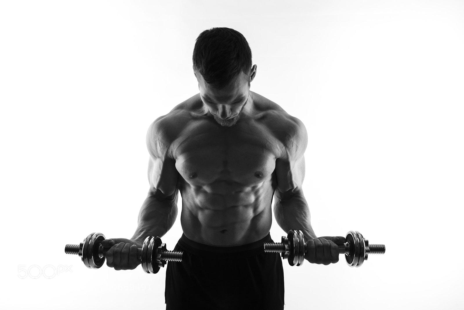 Canon EOS 5D Mark II sample photo. Silhouette of a bodybuilder photography