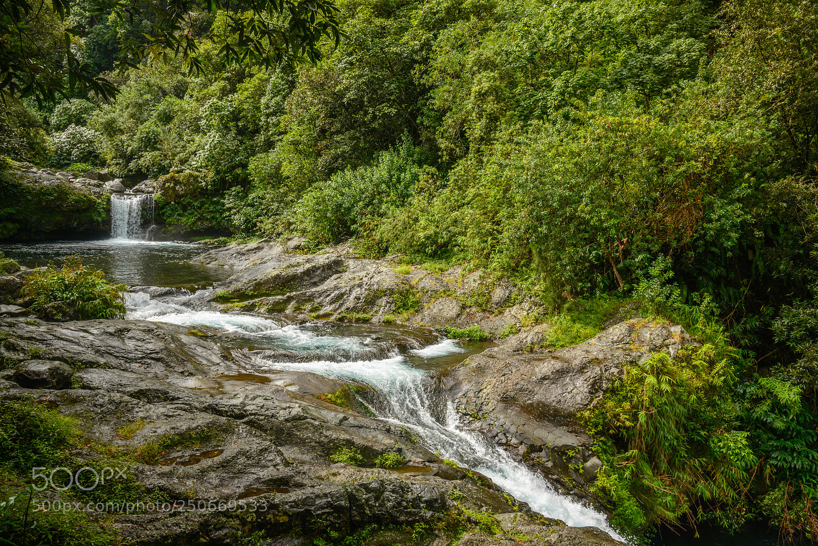 Nikon D600 sample photo. River in a tropical photography