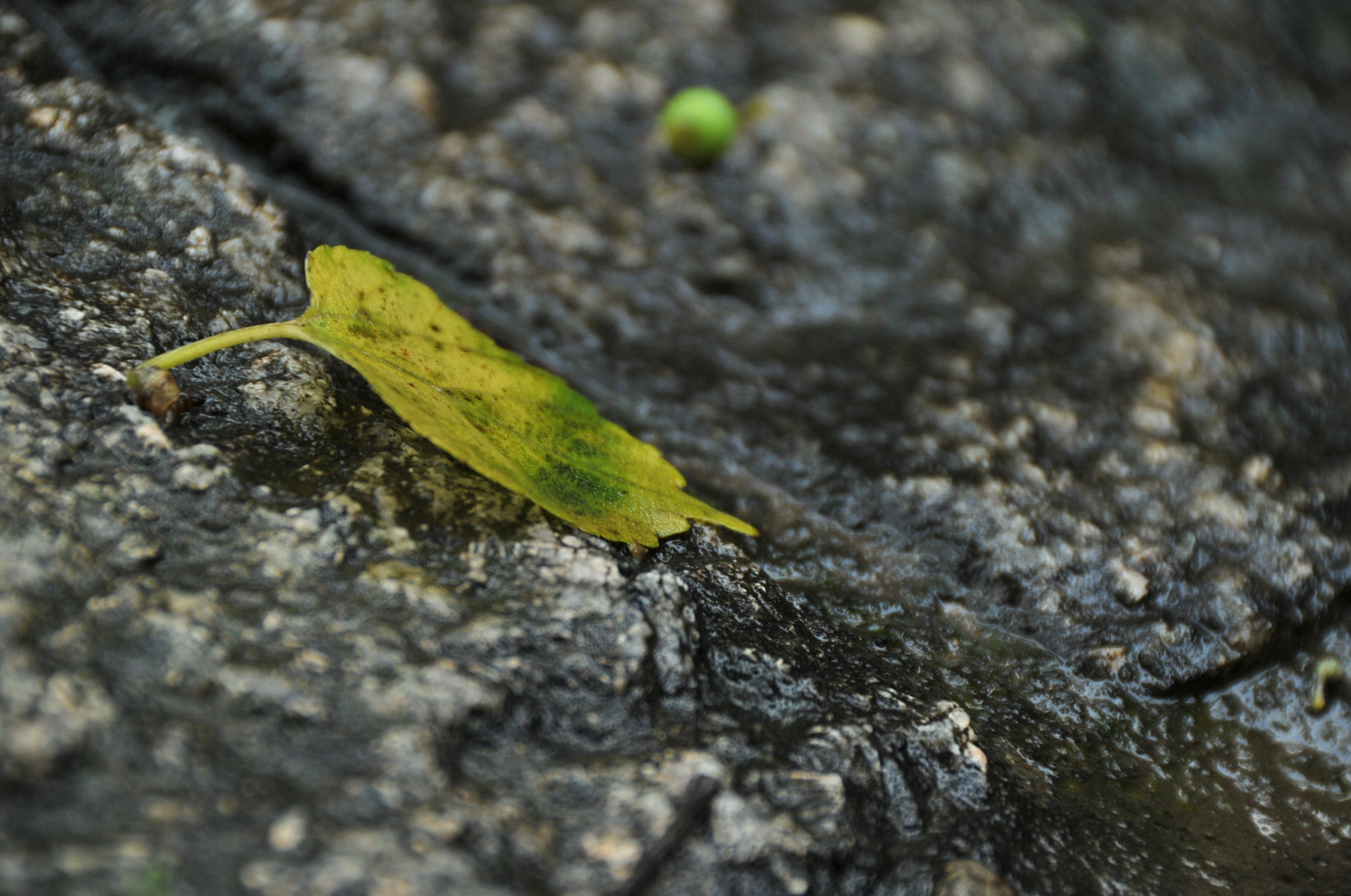 Nikon D3S sample photo. .. photography
