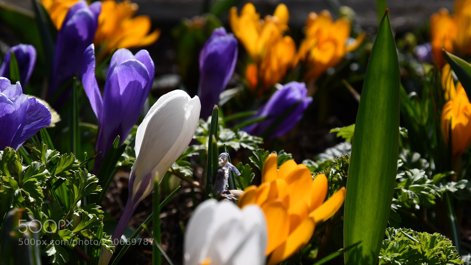 Nikon D7500 sample photo. Der frühling kommt ?? photography