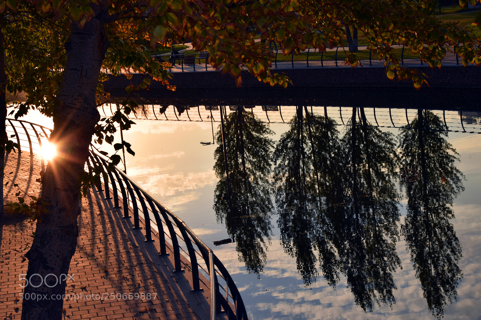 Nikon D3300 sample photo. Magic photography