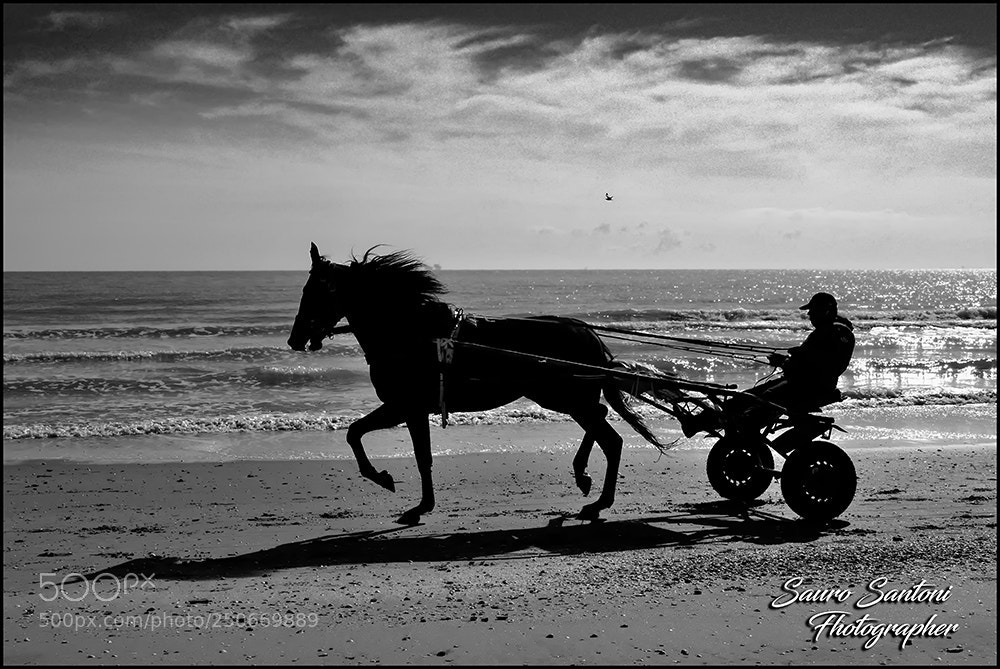 Nikon D7500 sample photo. Mare d'inverno... photography