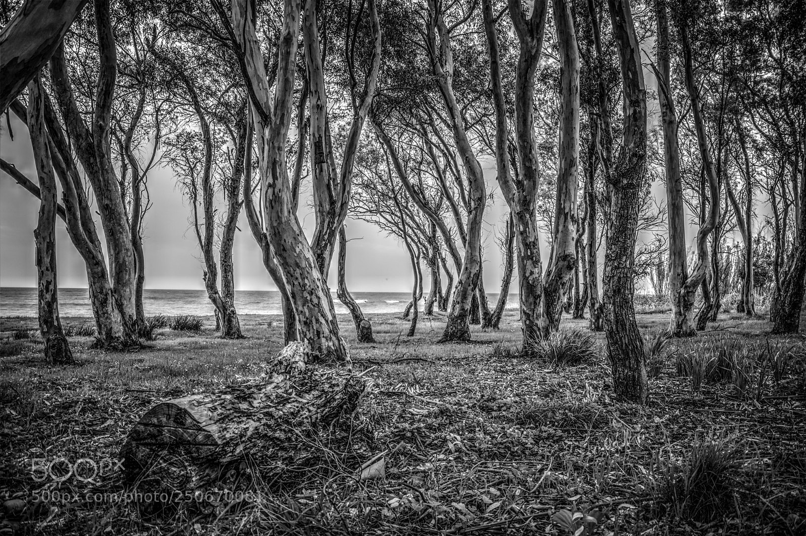 Nikon D7100 sample photo. Monolithi - coastline view photography