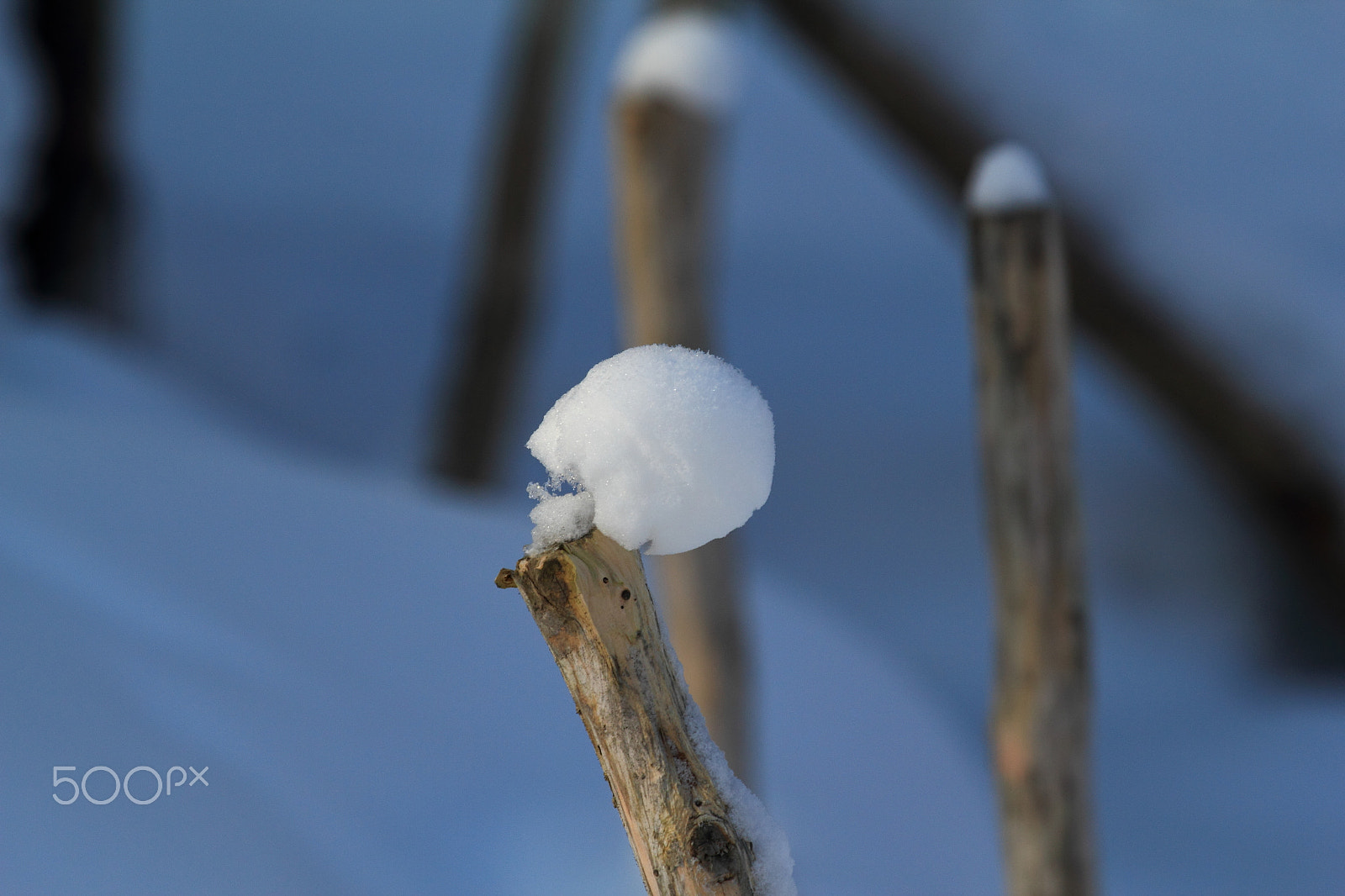 Canon EF 100-400mm F4.5-5.6L IS USM sample photo. Winter photography
