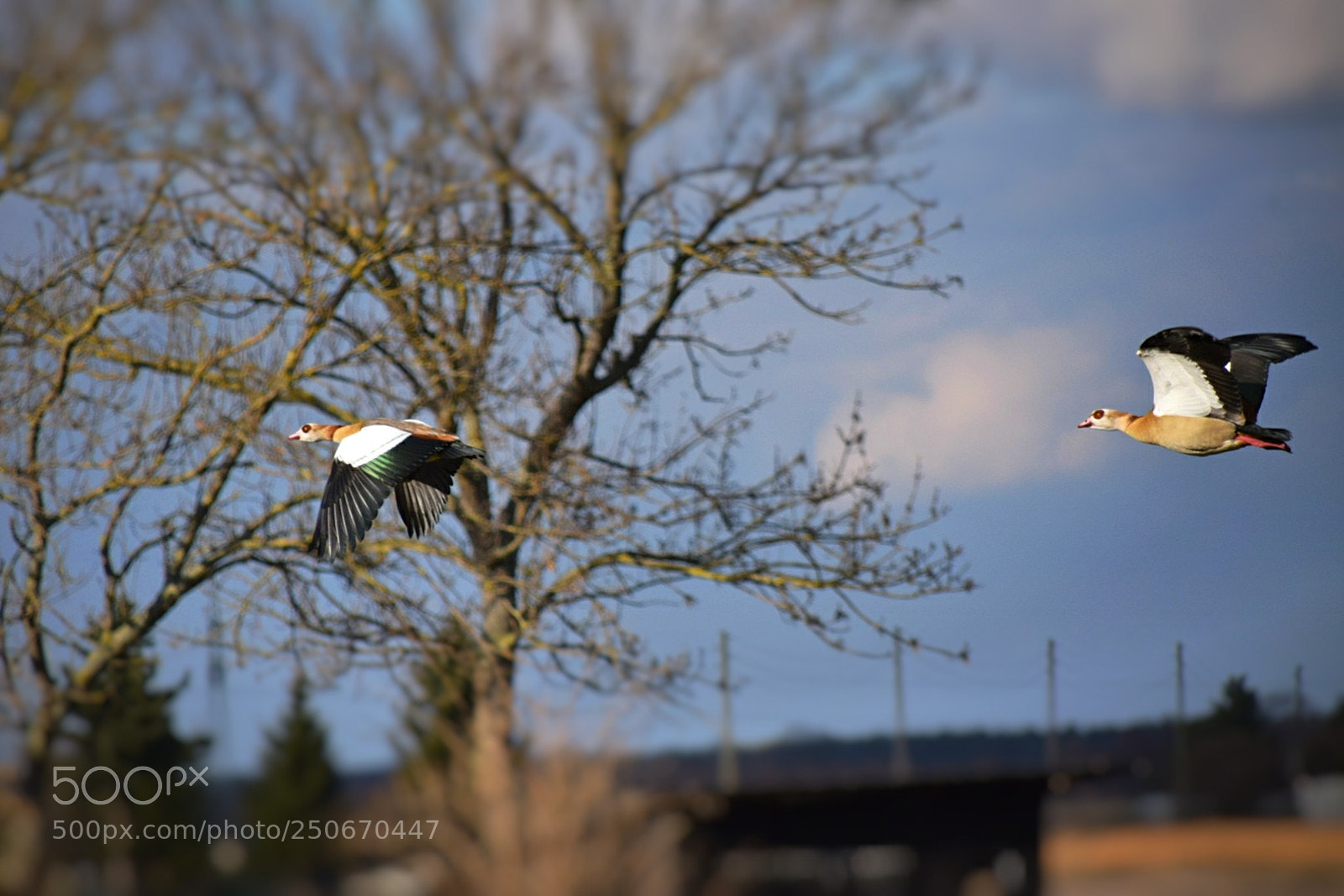 Nikon D5300 sample photo. Warte auf mich! photography