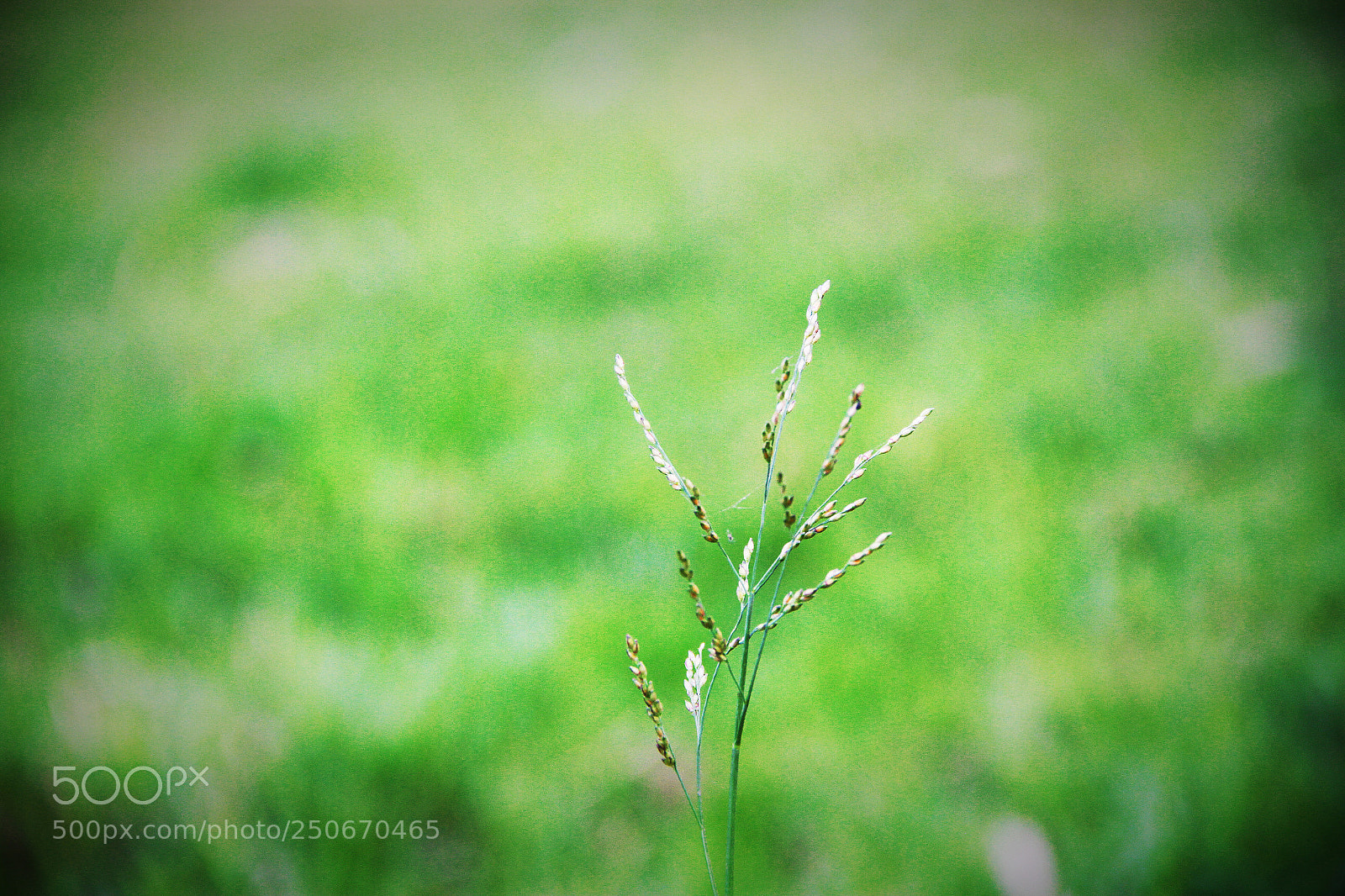 Canon EOS 7D sample photo. Untitled photography