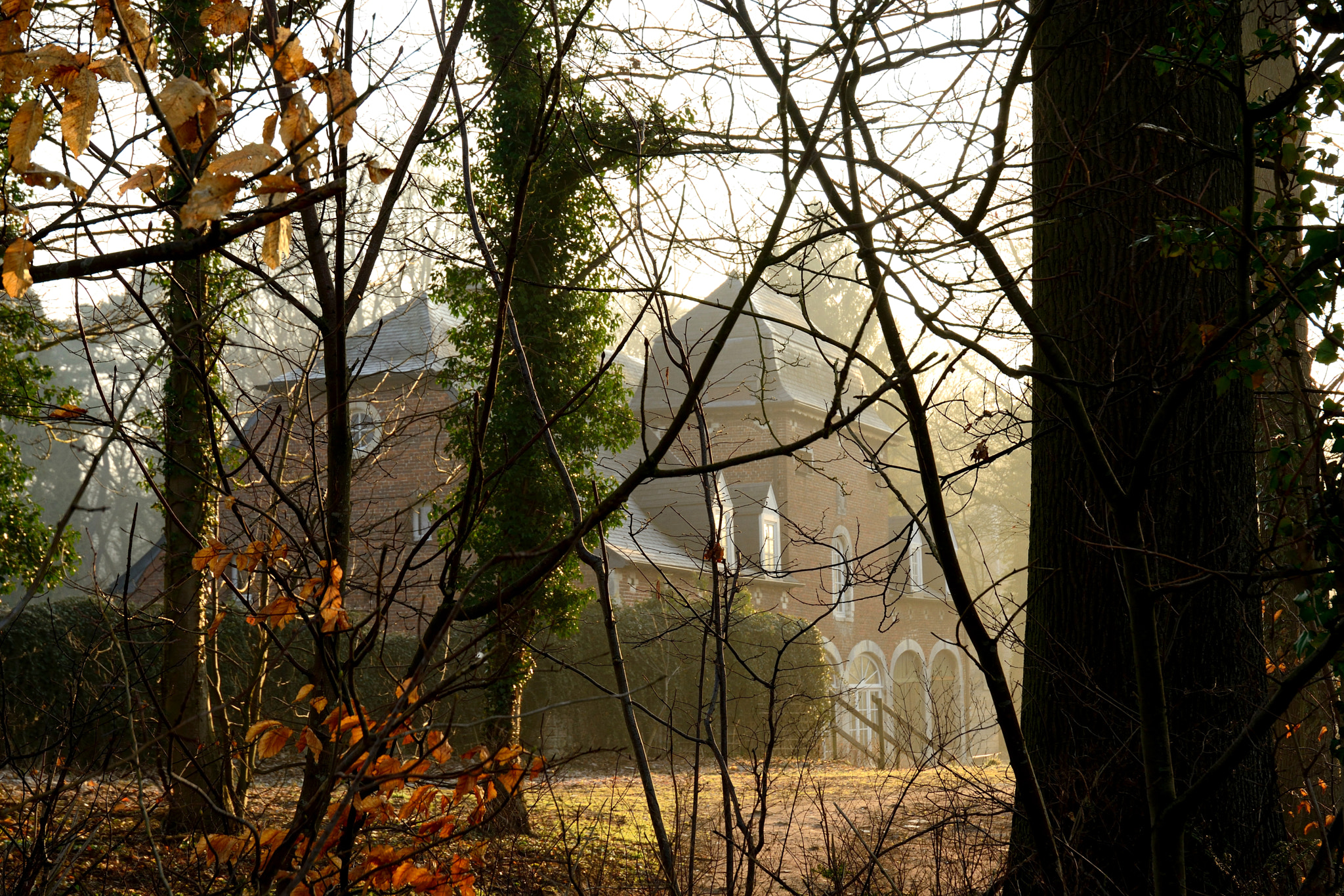 Nikon D5200 sample photo