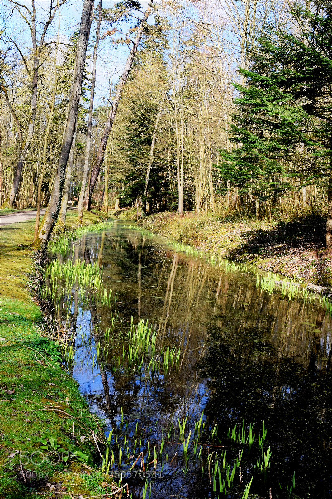 Nikon D3300 sample photo. Ruisseau en forêt photography