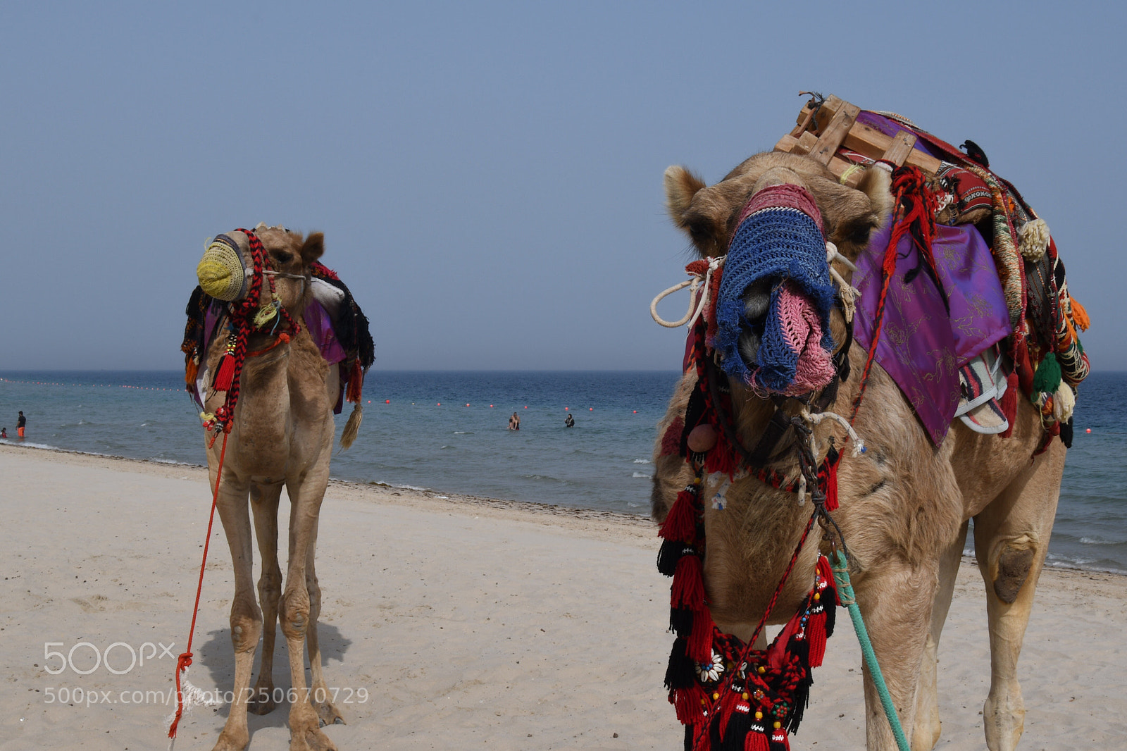 Nikon D7500 sample photo. Untitled photography