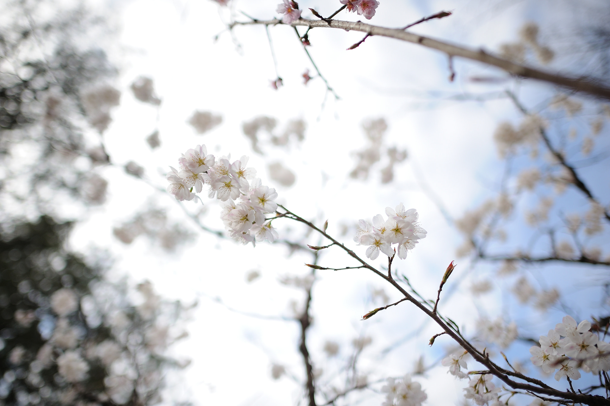 Nikon AF-S Nikkor 24mm F1.4G ED sample photo. D7h_1068 photography