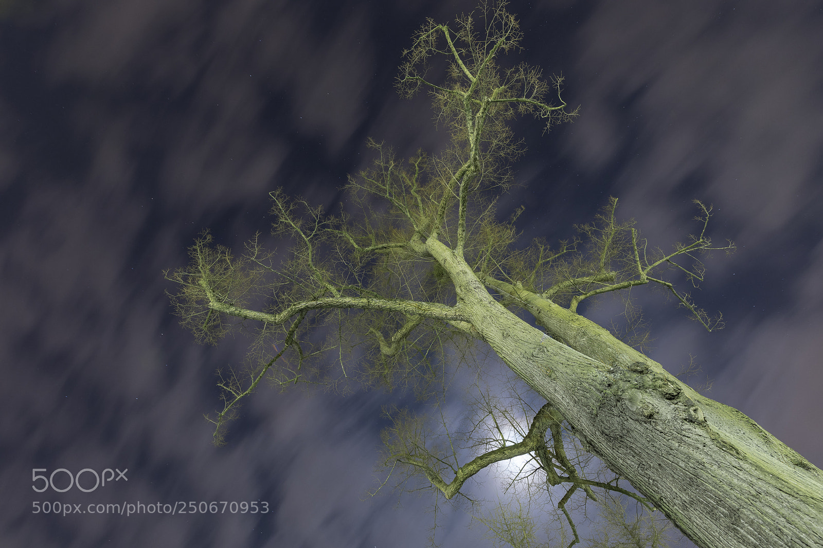 Canon EOS 5D Mark IV sample photo. Night ... photography