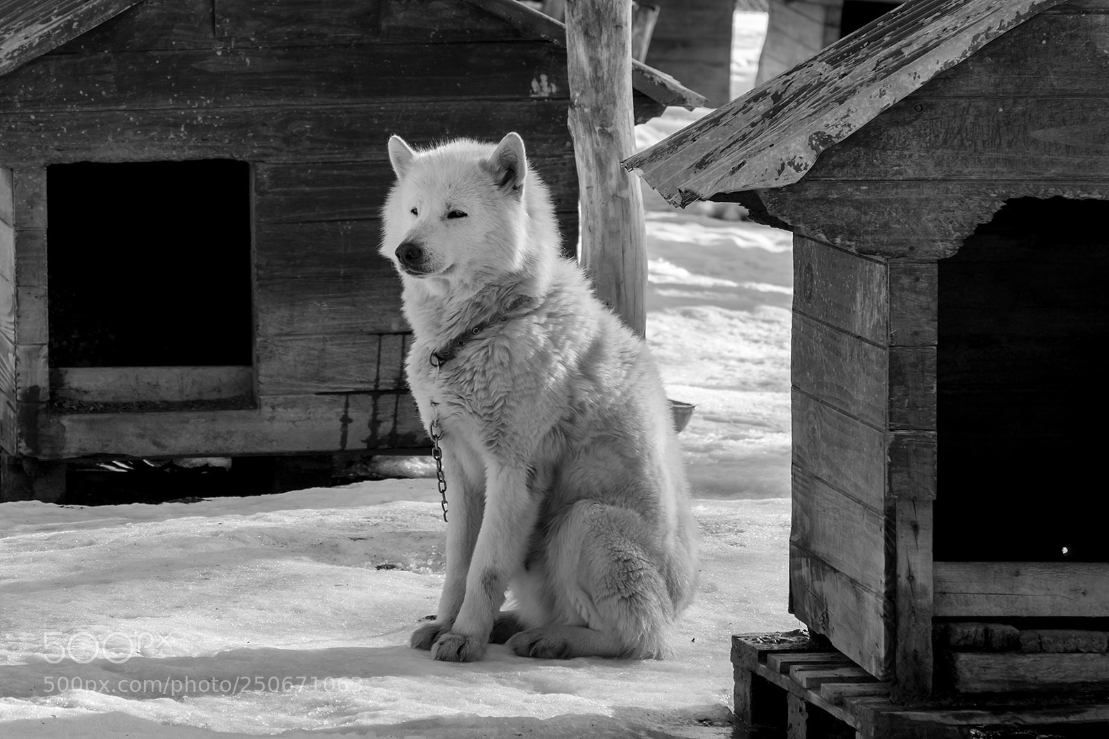 Fujifilm X-Pro2 sample photo. Untitled photography
