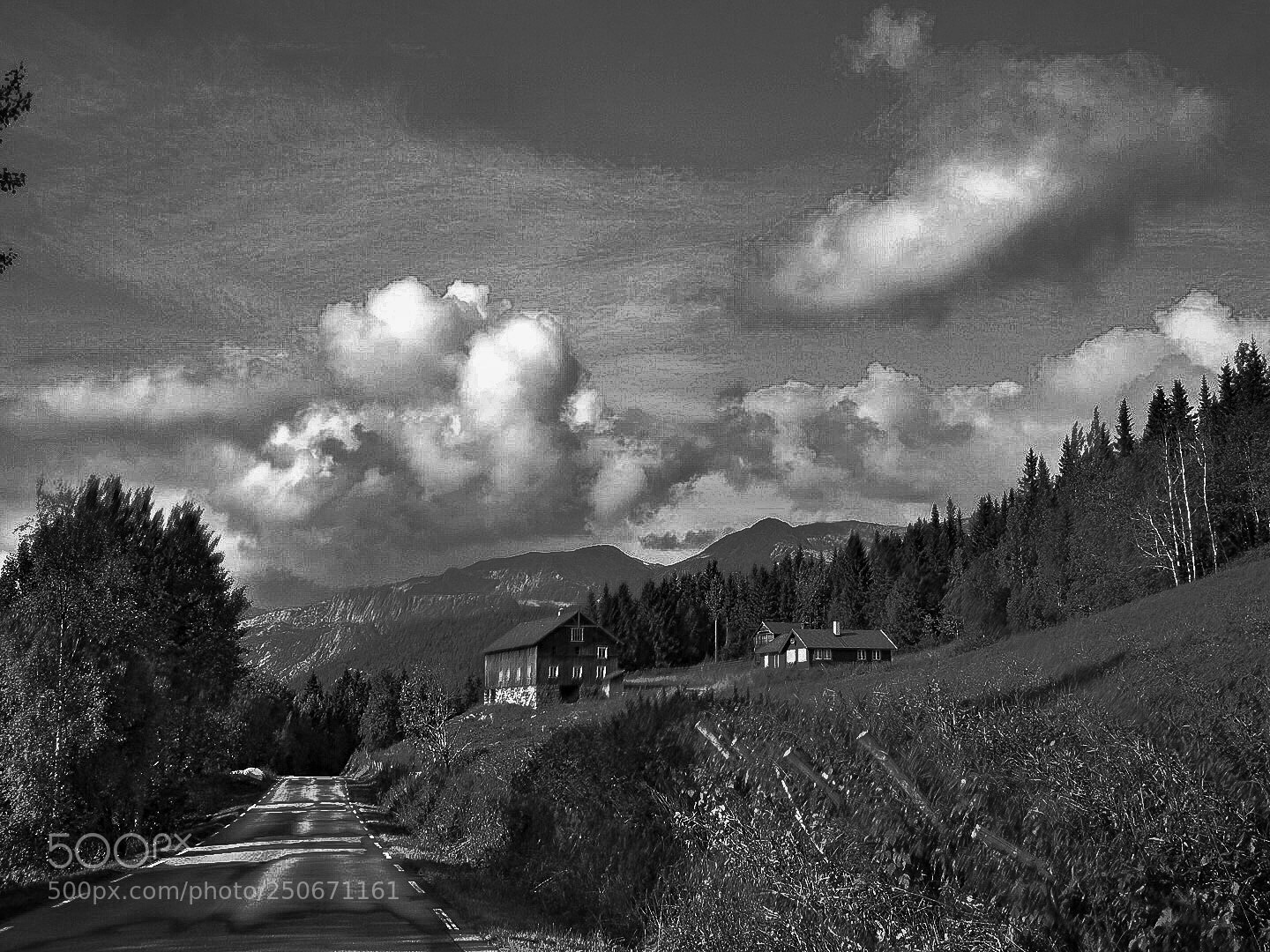 Nikon Coolpix P900 sample photo. Road b&w photography