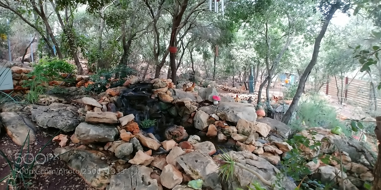 LG G6 sample photo. Monkey park - yodfat photography