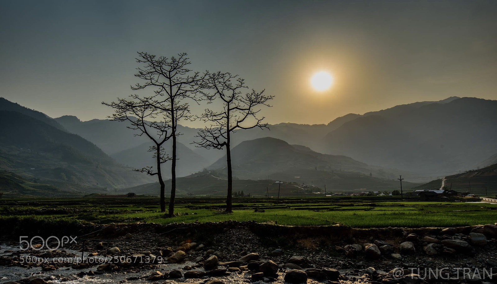 Nikon D750 sample photo. Sunset over rice fields photography
