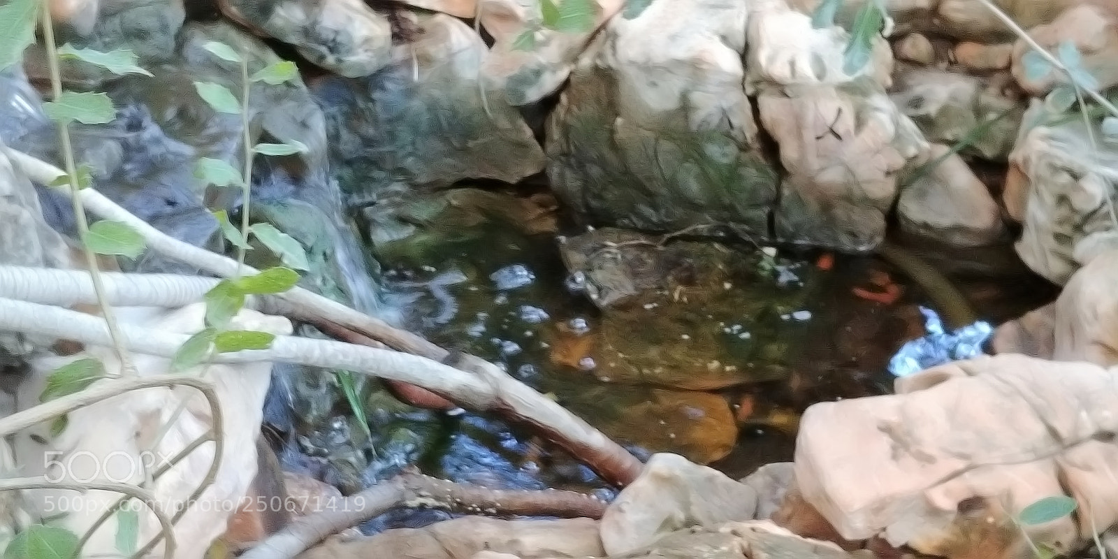 LG G6 sample photo. Monkey park - yodfat photography