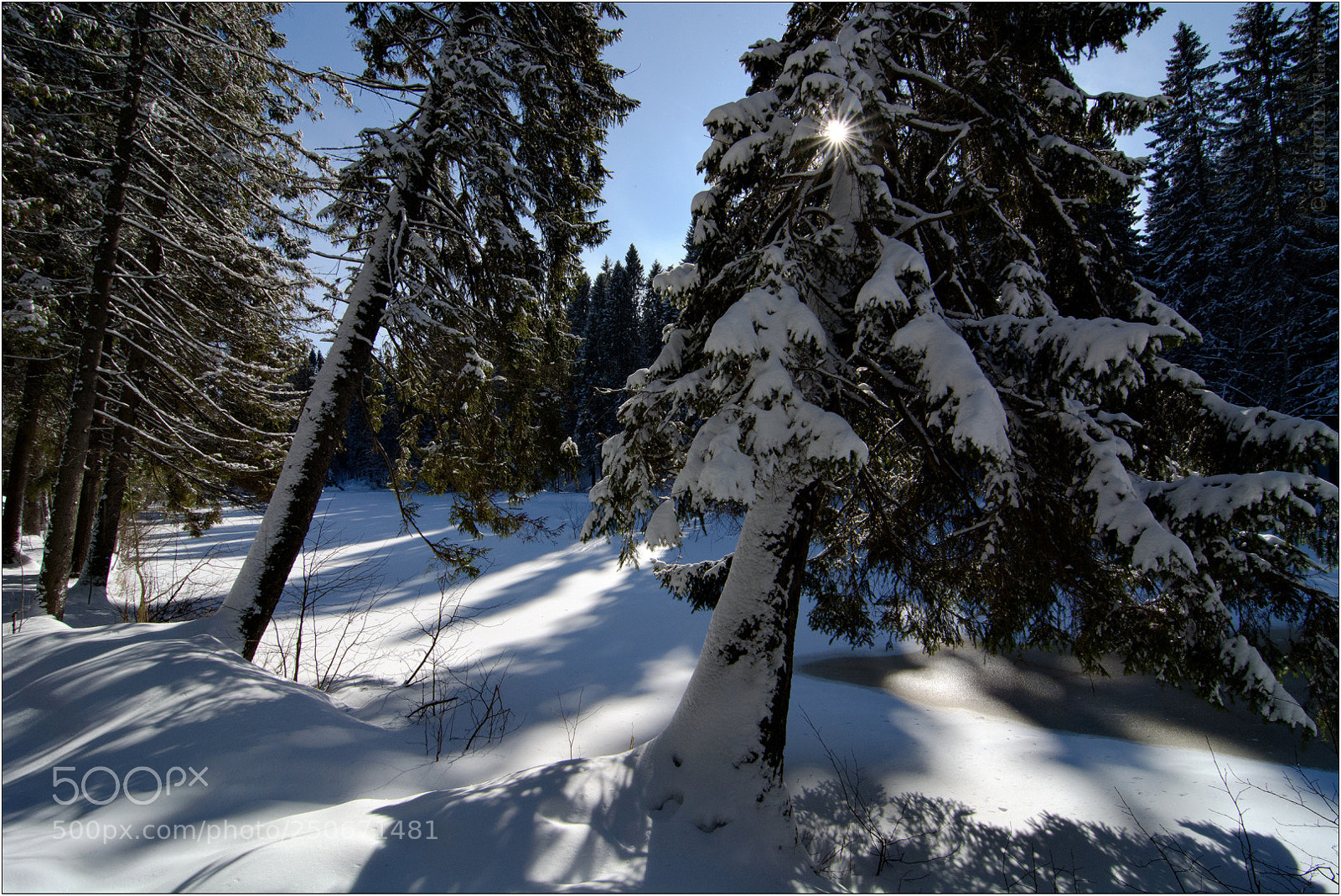 Nikon D7100 sample photo. Sun photography