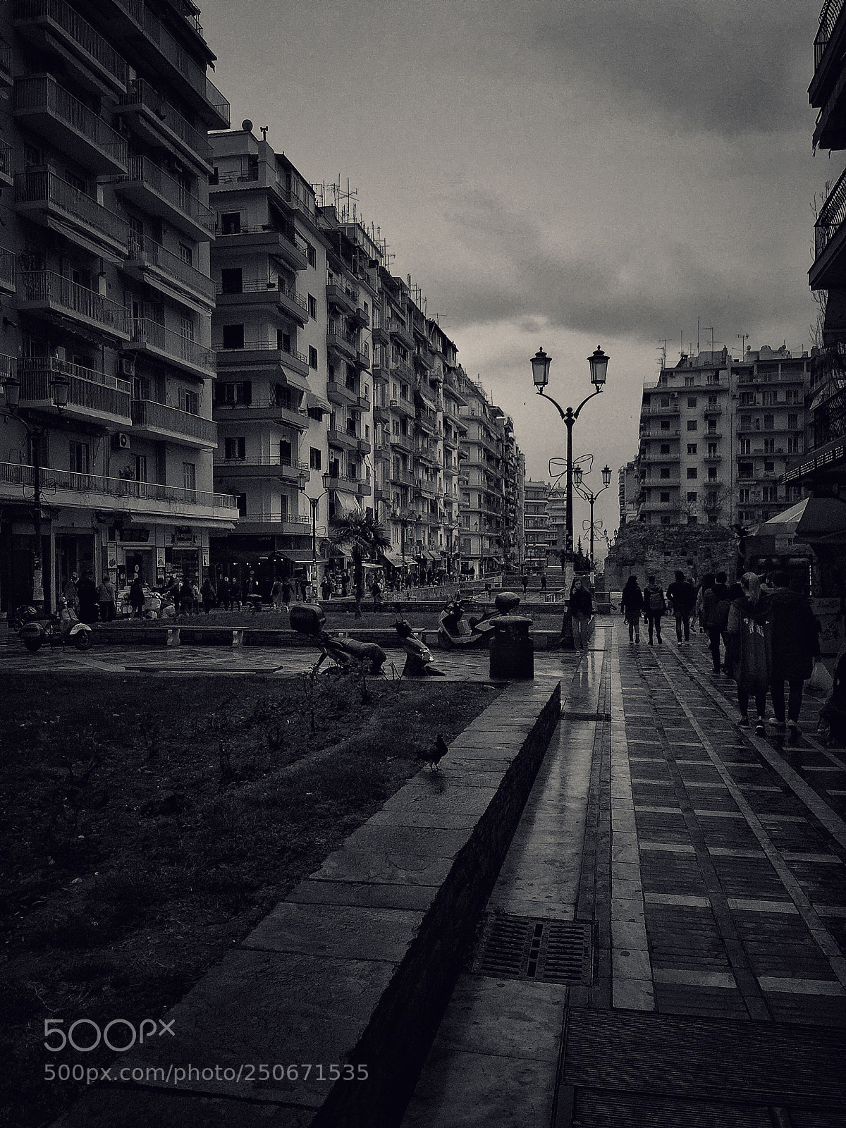 Apple iPhone 6 sample photo. Untitled photography