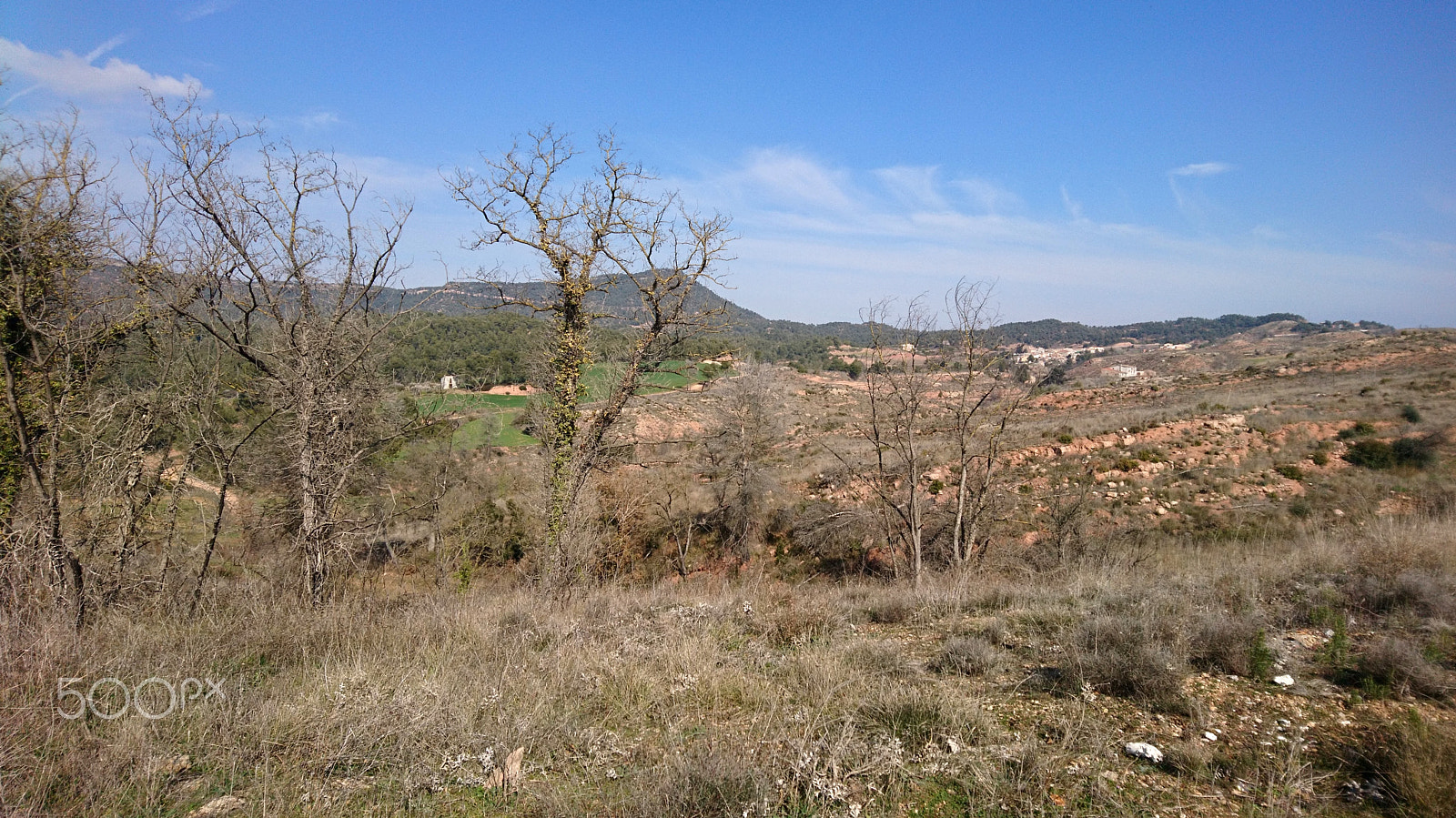 Sony Xperia X Compact sample photo. El camp a l'hivern photography