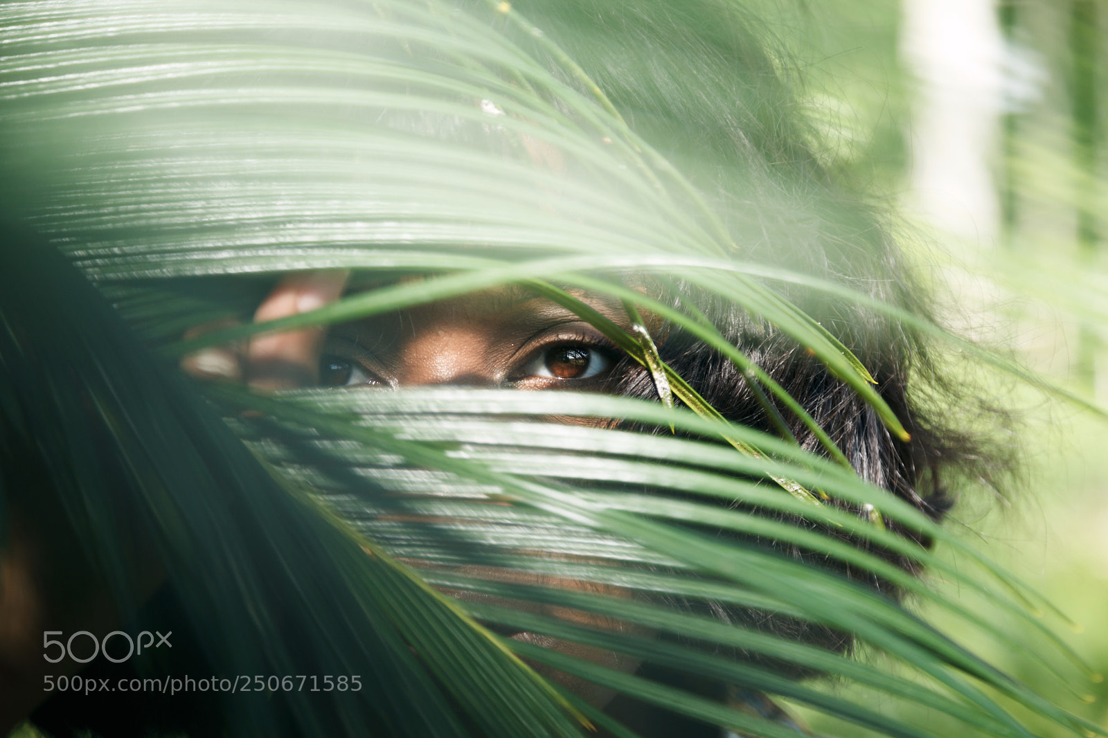 Canon EOS 5D Mark II sample photo. Lisa and a palm photography