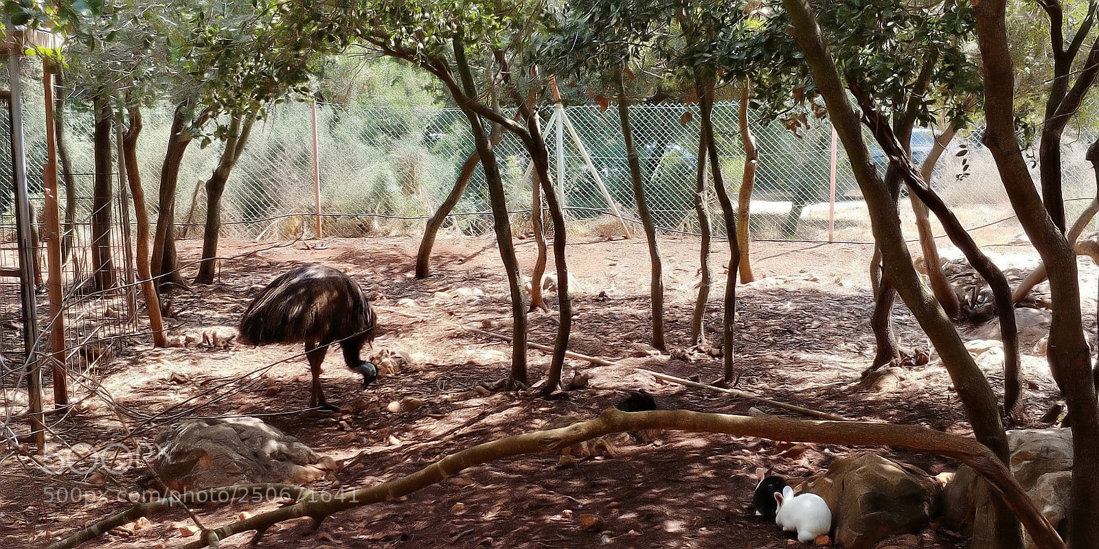LG G6 sample photo. Monkey park - yodfat photography