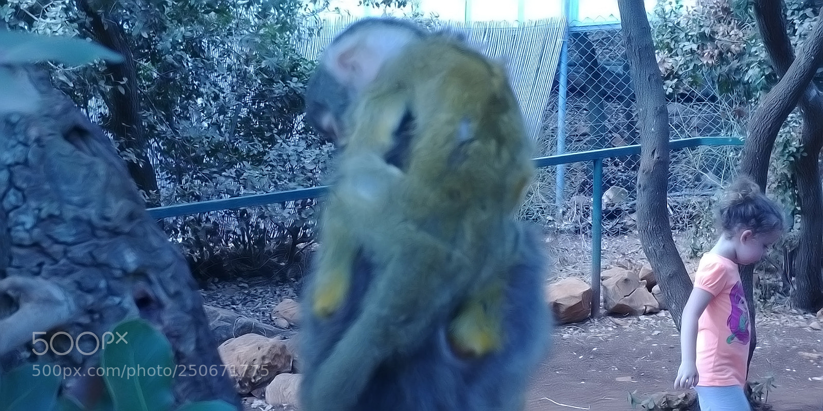 LG G6 sample photo. Monkey park - yodfat photography
