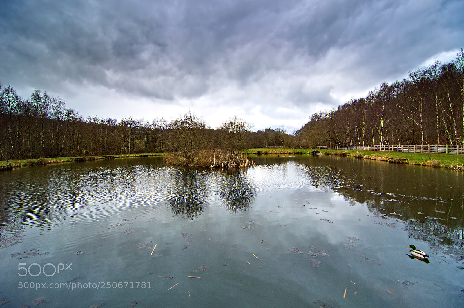 Nikon D3200 sample photo. Parc pond photography