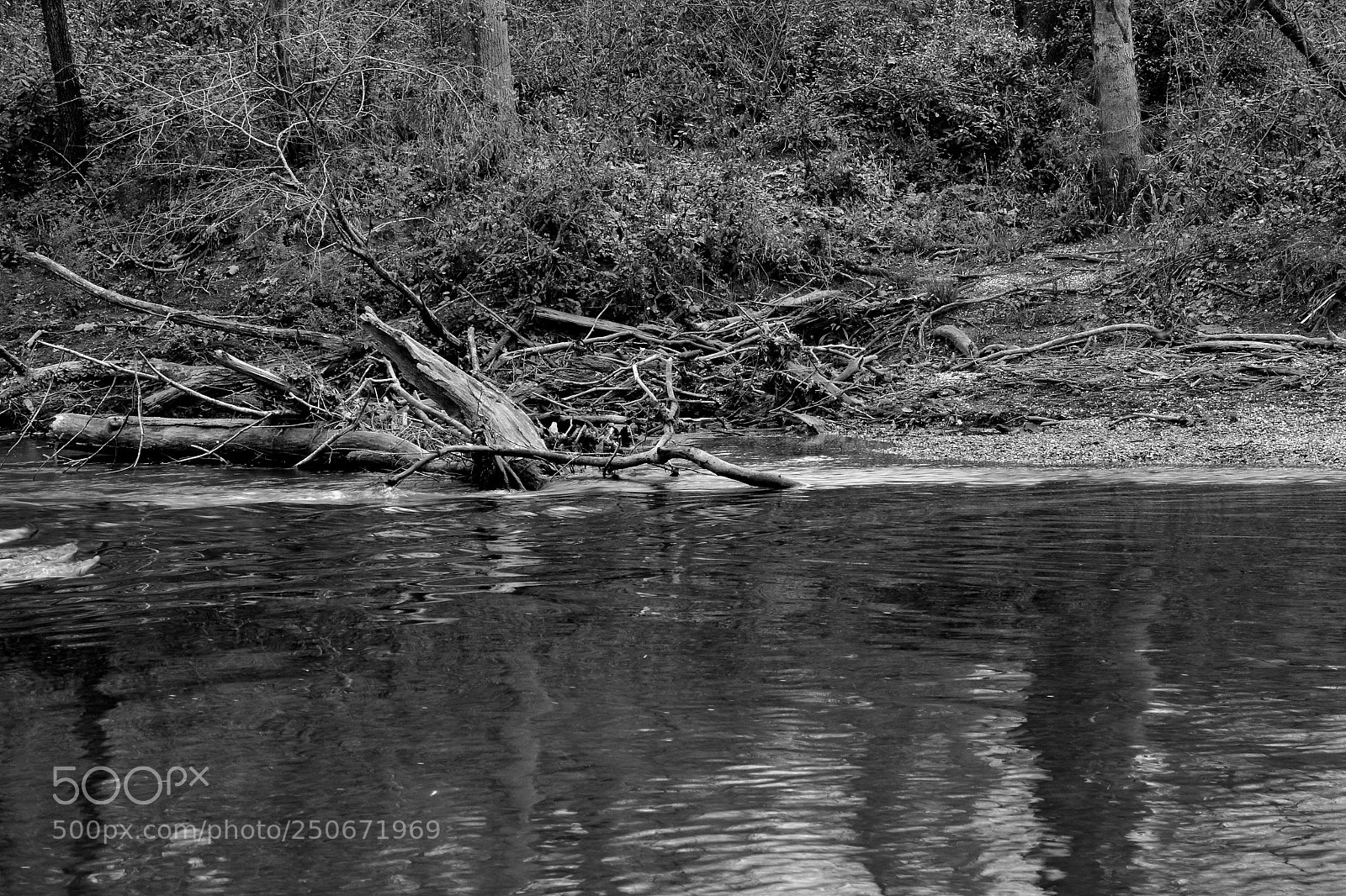Nikon D7100 sample photo. River debris b&w photography