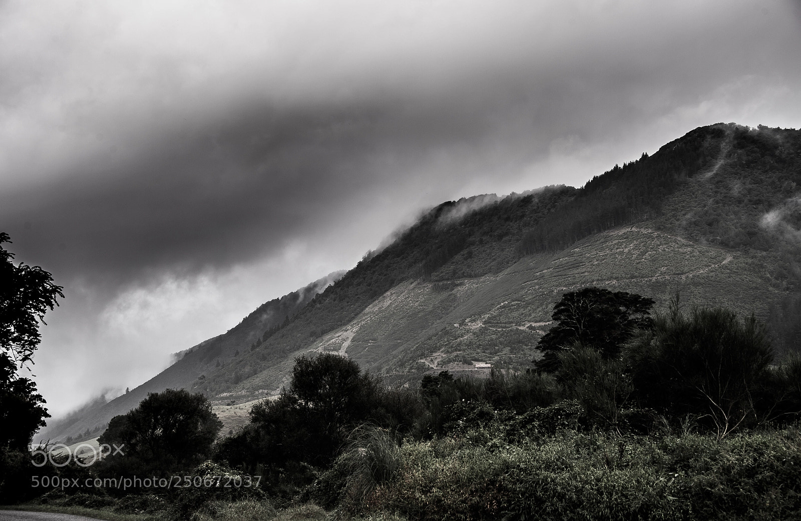 Nikon D4 sample photo. New zealand photography