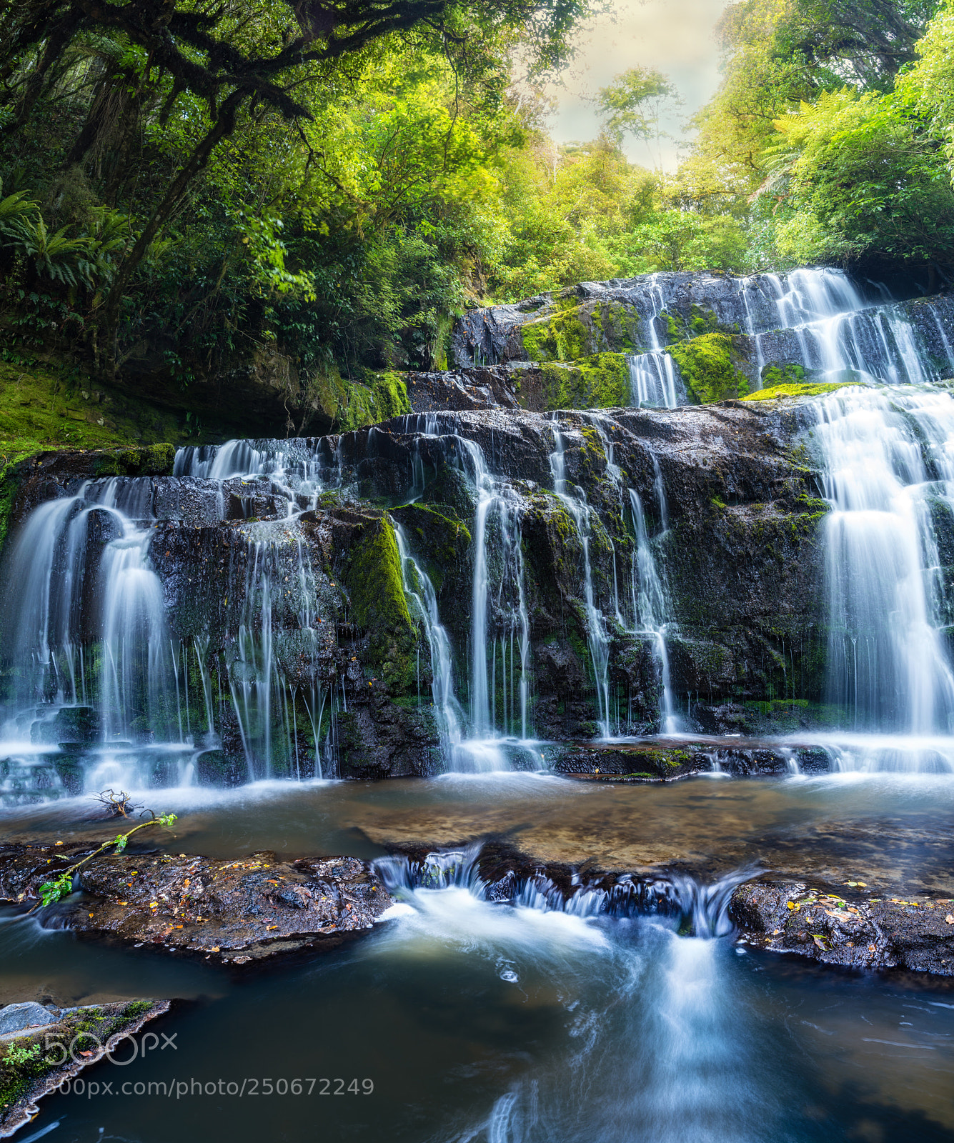 Sony a99 II sample photo. Verdant ages photography