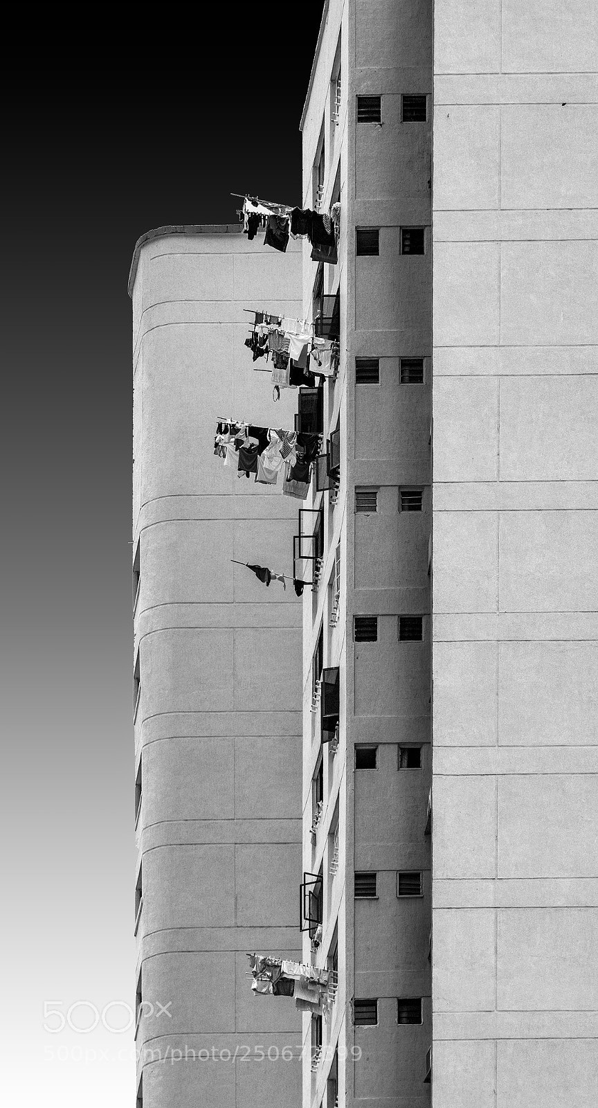 Canon EOS-1D X Mark II sample photo. Highrise washing photography