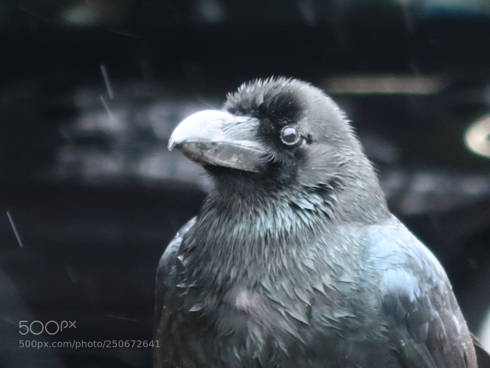 Canon PowerShot G7 X Mark II sample photo. Img photography