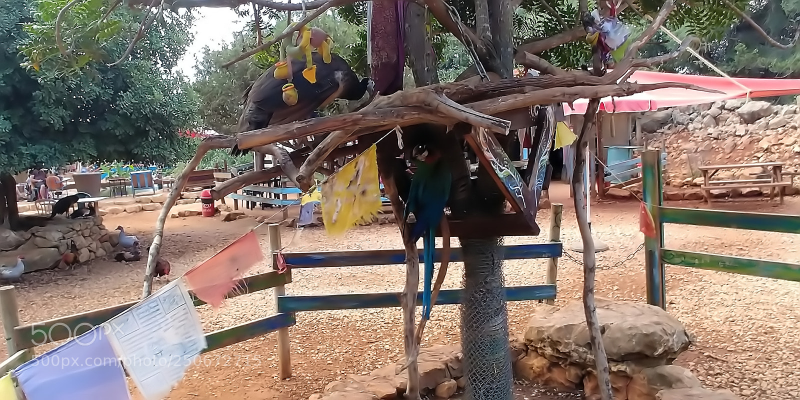 LG G6 sample photo. Monkey park - yodfat photography