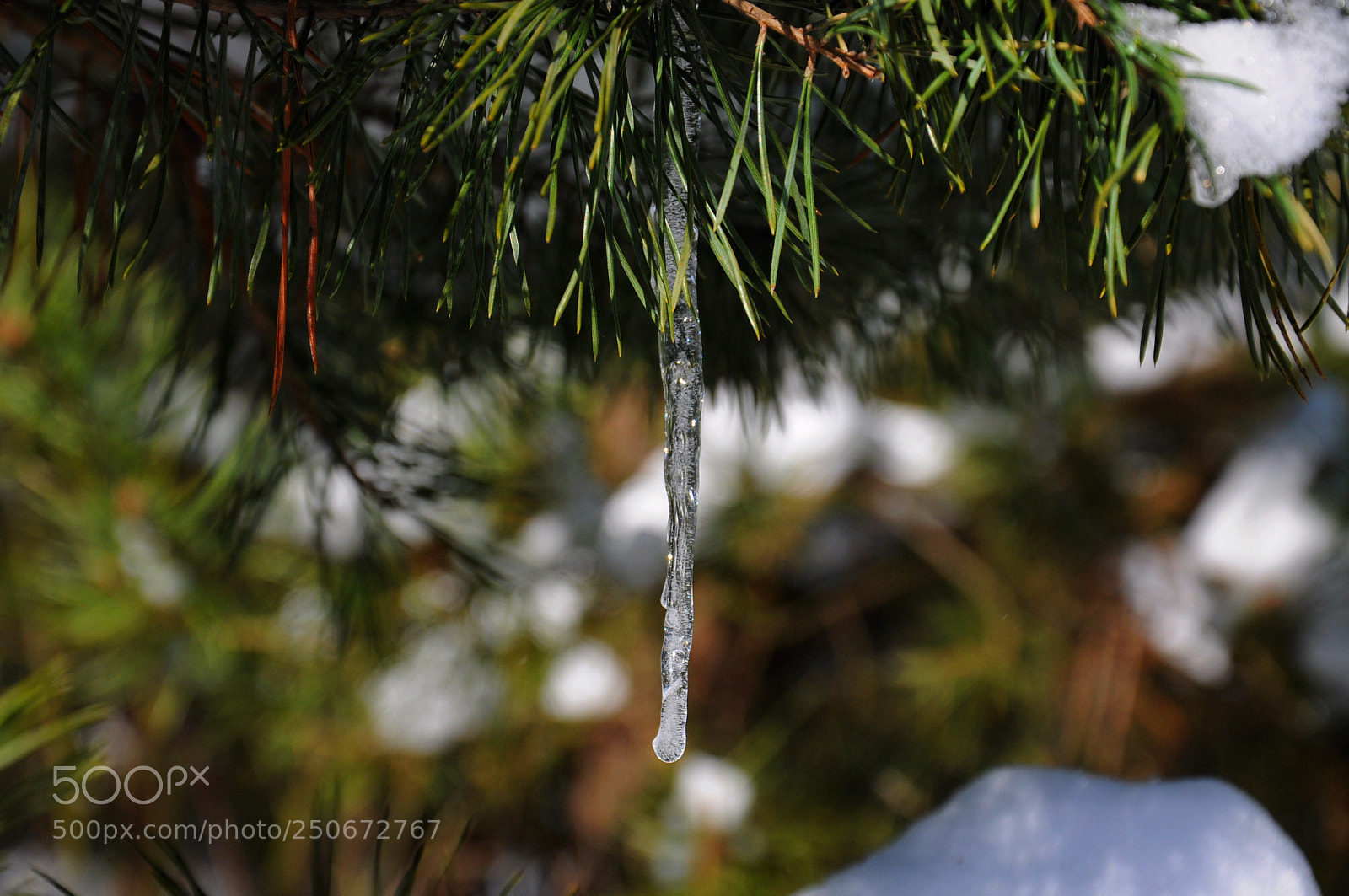 Nikon D90 sample photo. Untitled photography