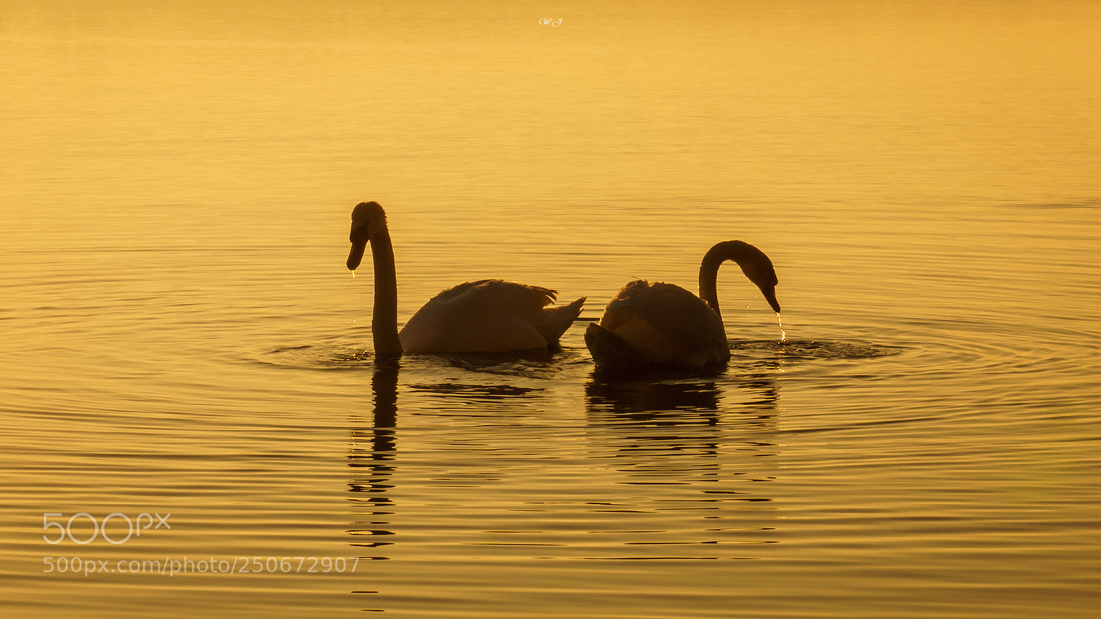Sony ILCA-77M2 sample photo. Togetherness photography