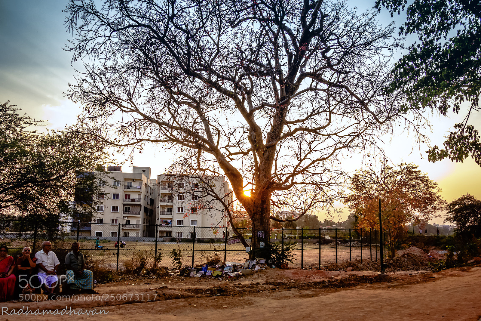 Sony Cyber-shot DSC-RX100 sample photo. Evening... photography