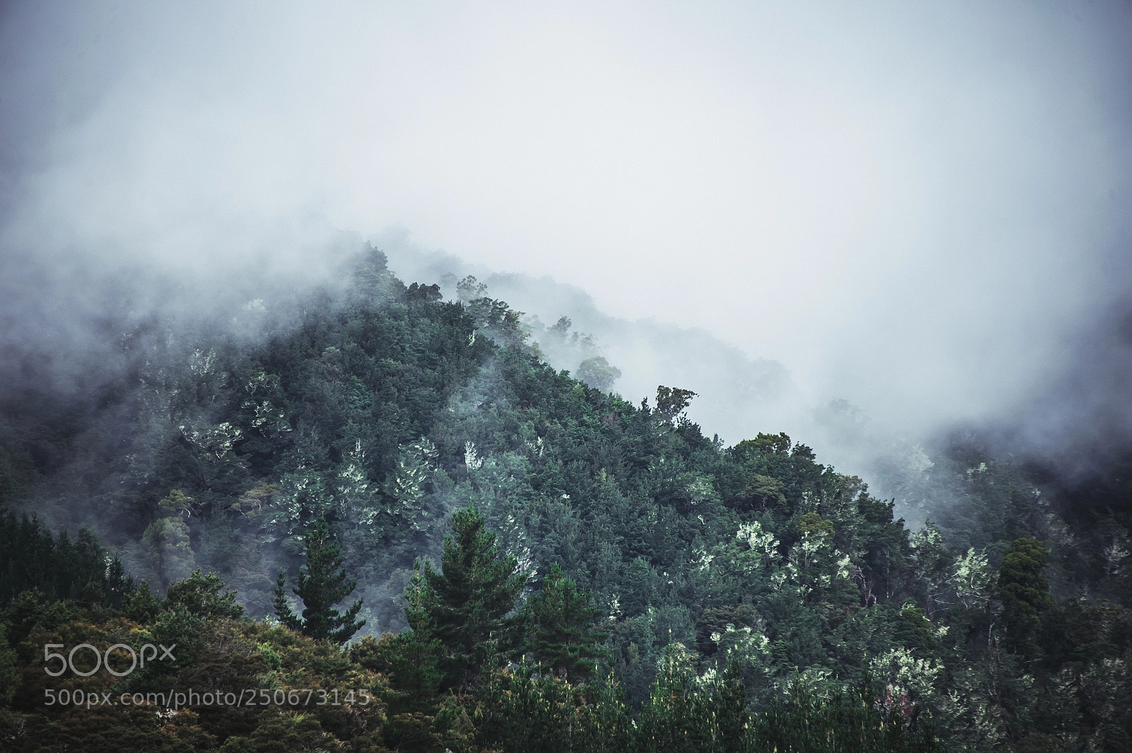 Nikon D4 sample photo. New zealand mountains in photography