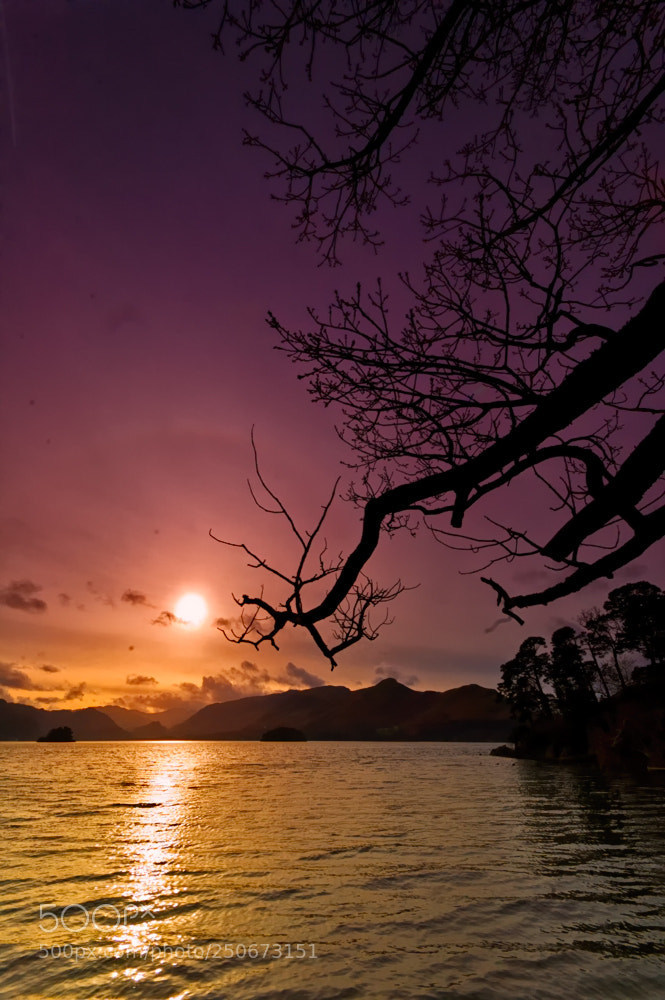 Nikon D70 sample photo. Lake sunset. photography